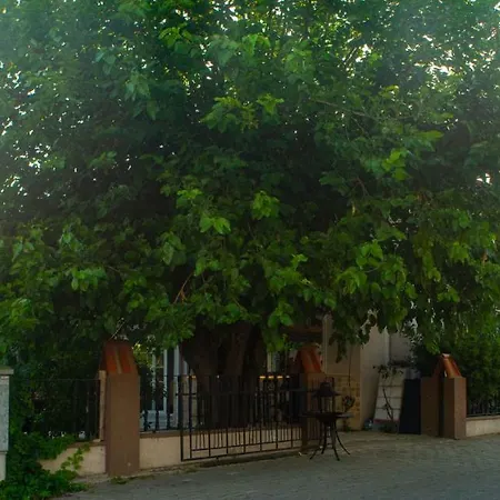 Eon Boutique Hotel Dalyan